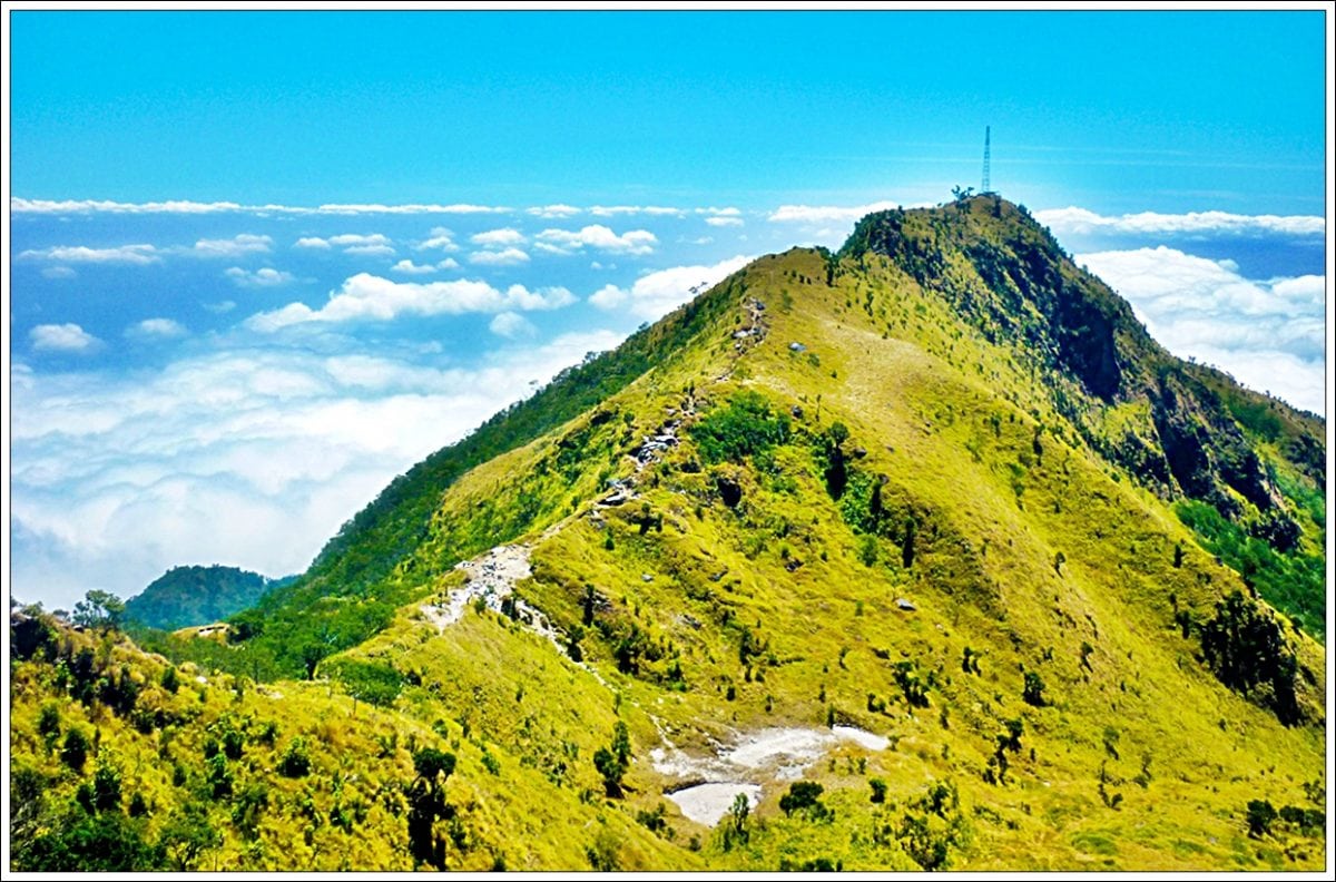 foto pemandangan gunung Merbabu